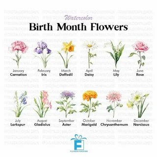 Birth flowers