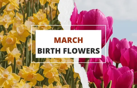 march birth flower