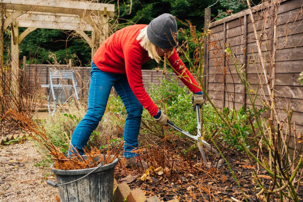 garden cleaning